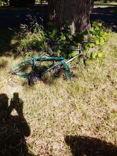 Rubbish/Recycling, a report photo