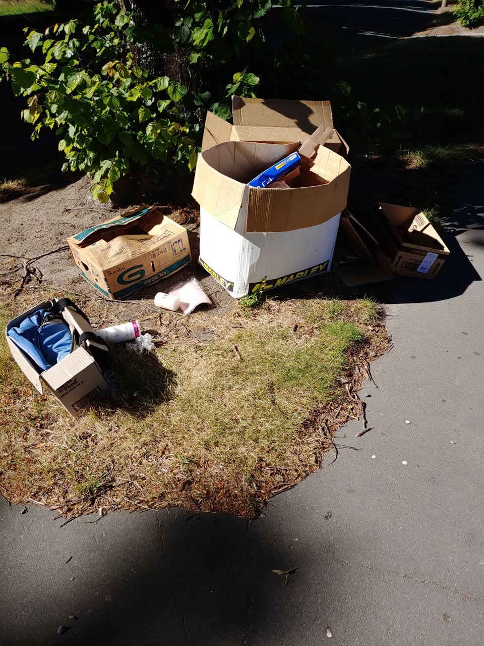 The photograph attached to this rubbish/recycling report