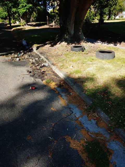 Rubbish/Recycling — a report photo