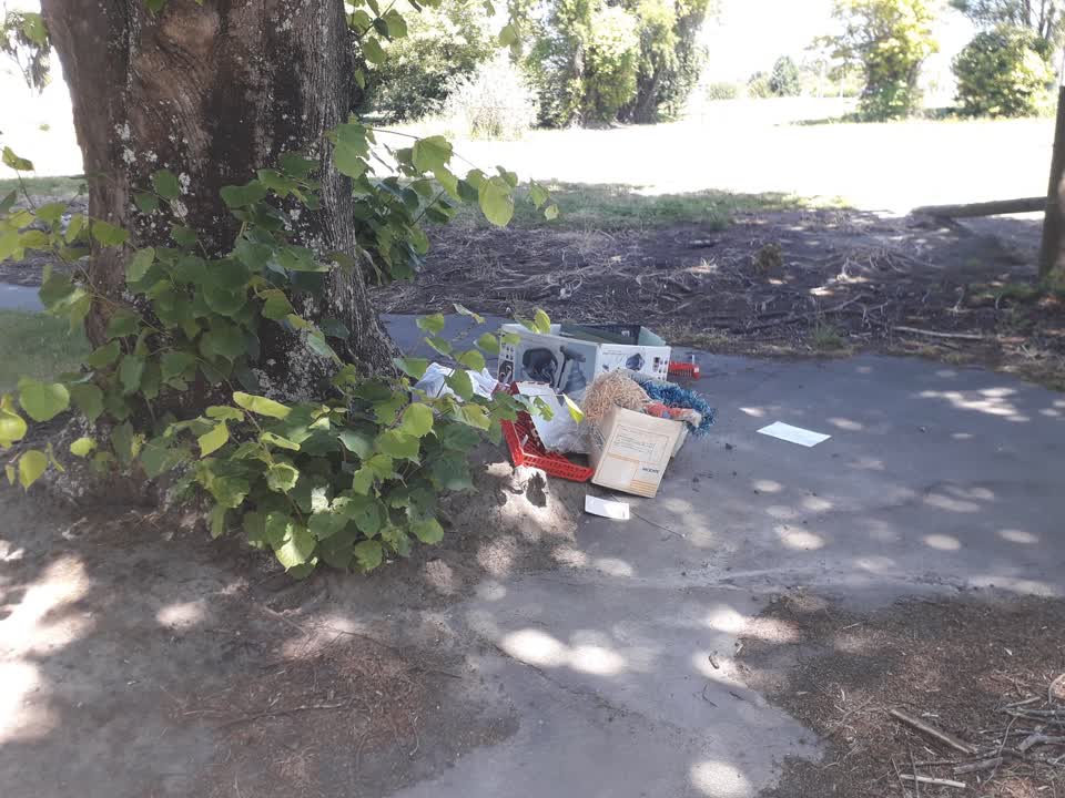 The photograph attached to this rubbish/recycling report