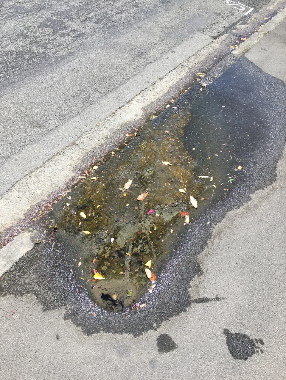 The photograph attached to this water supply report