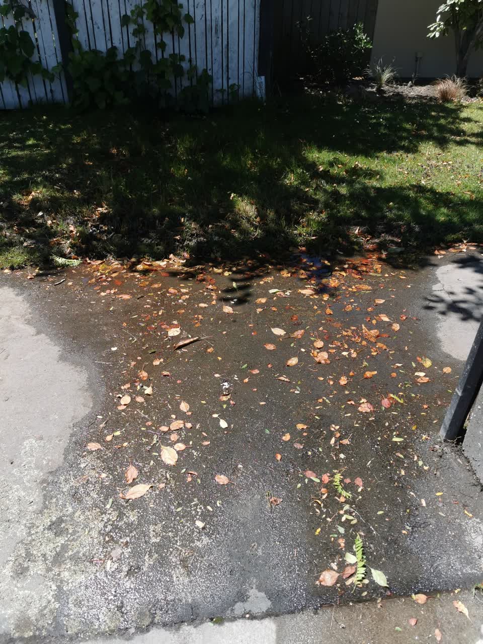 The photograph attached to this water supply report