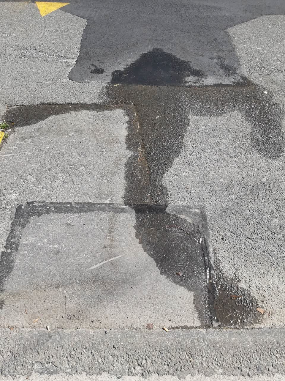 The photograph attached to this water supply report