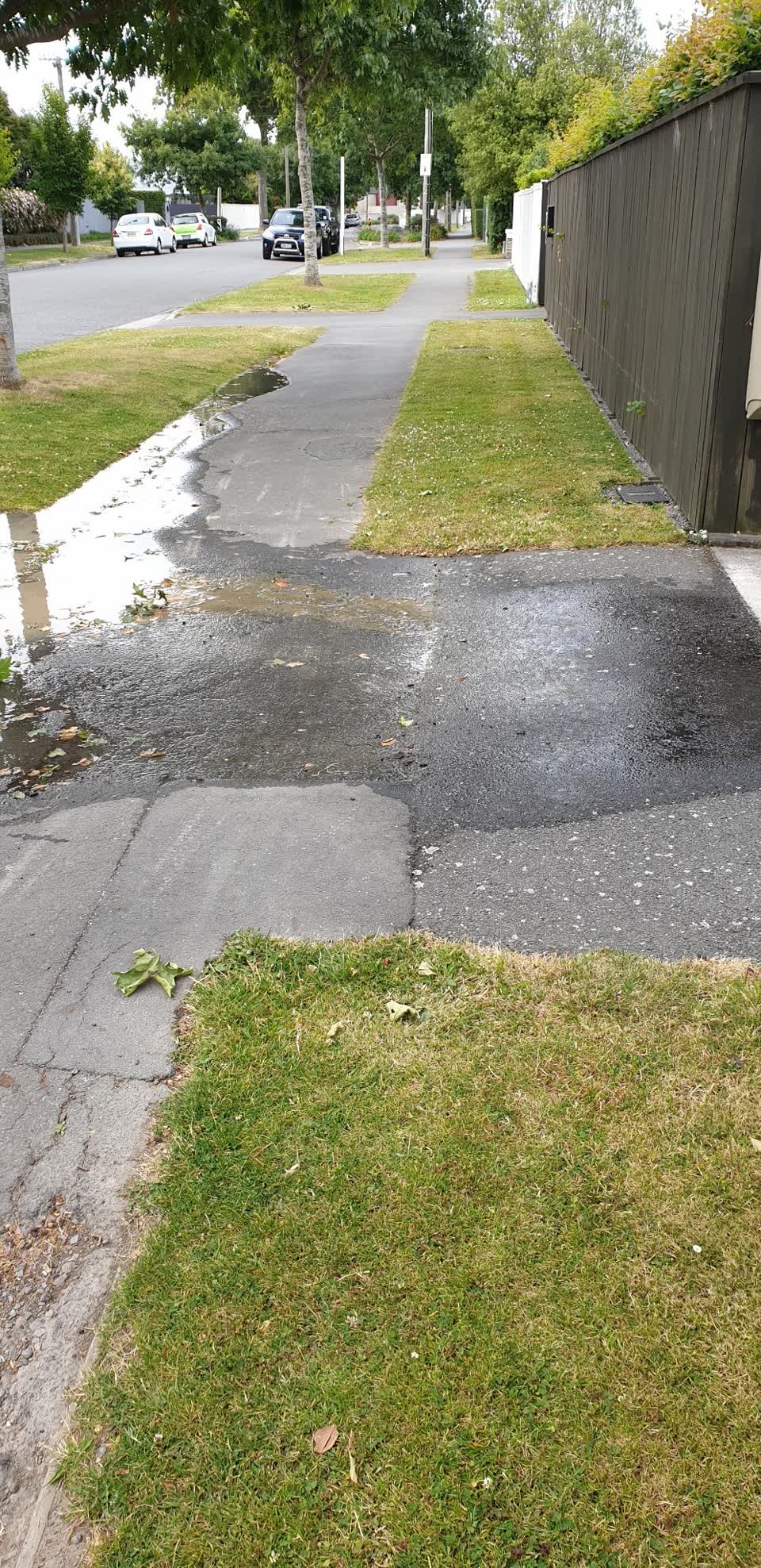 The photograph attached to this water supply report