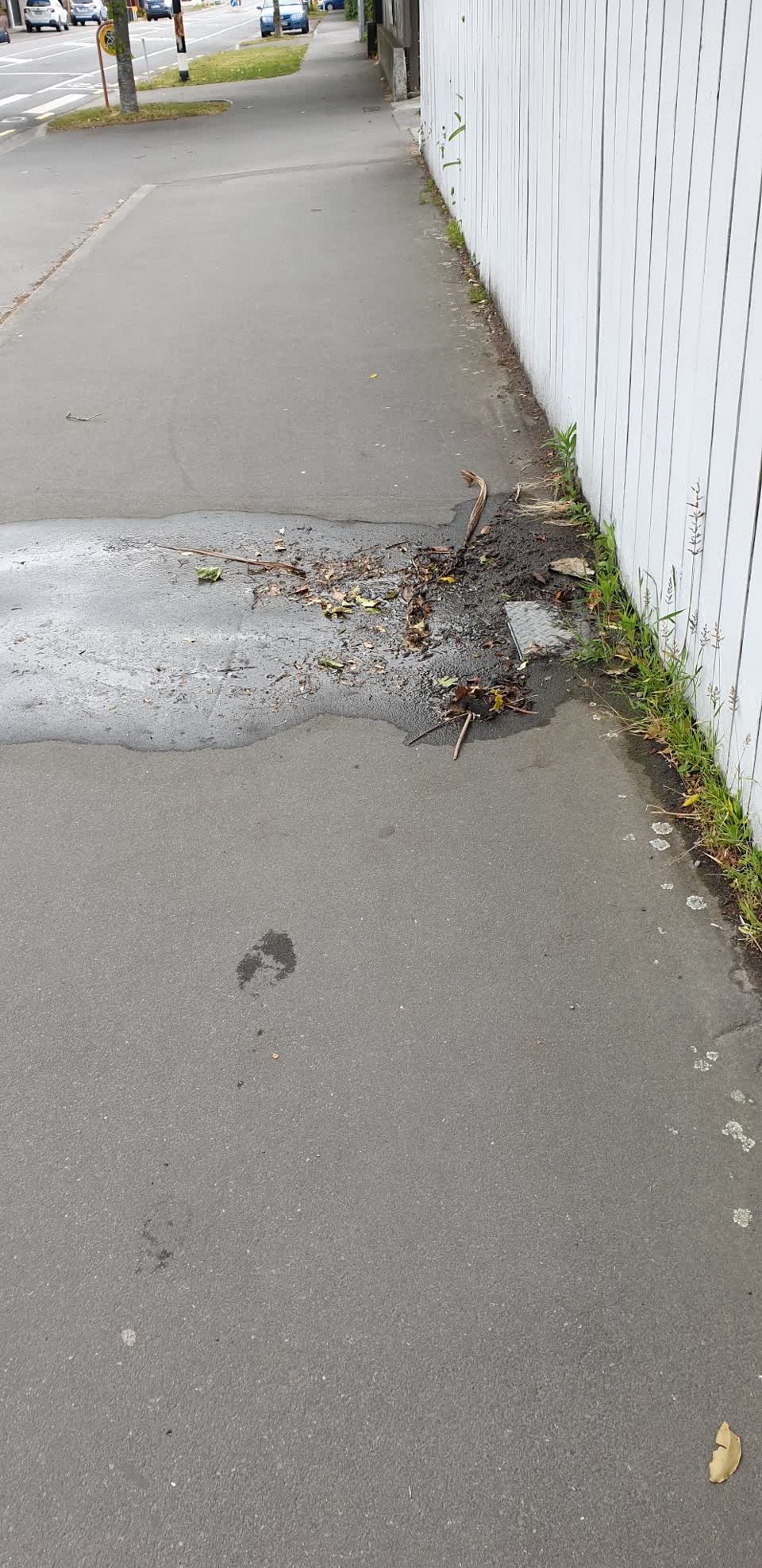 The photograph attached to this water supply report