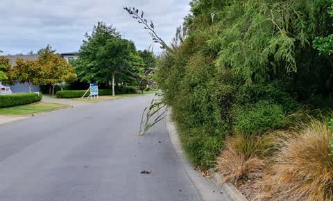 Roading/Streets, a report photo