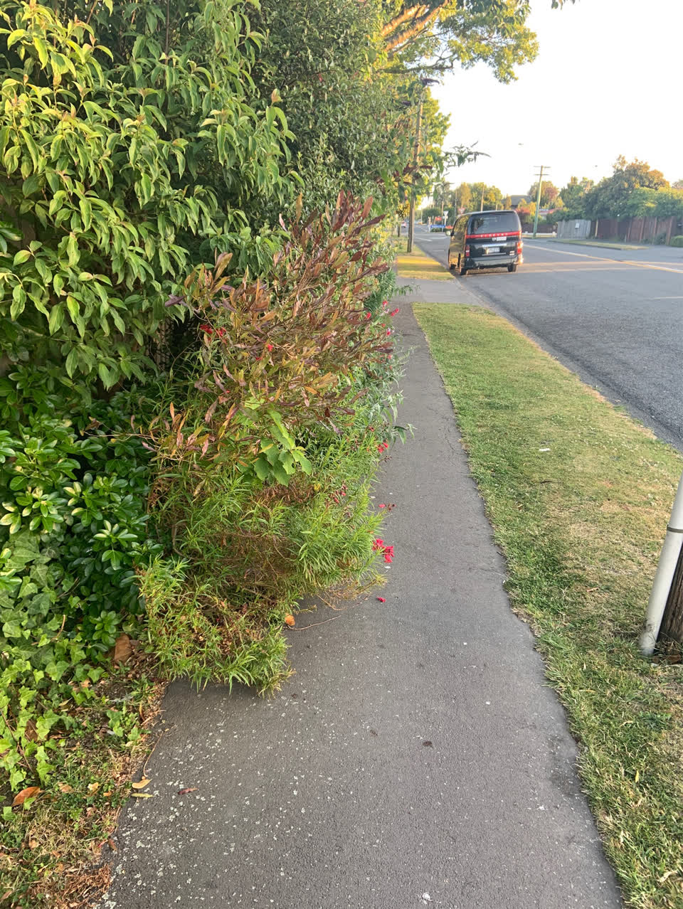 The photograph attached to this roading/streets report