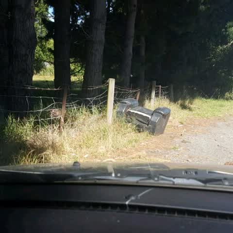 Rubbish/Recycling, a report photo