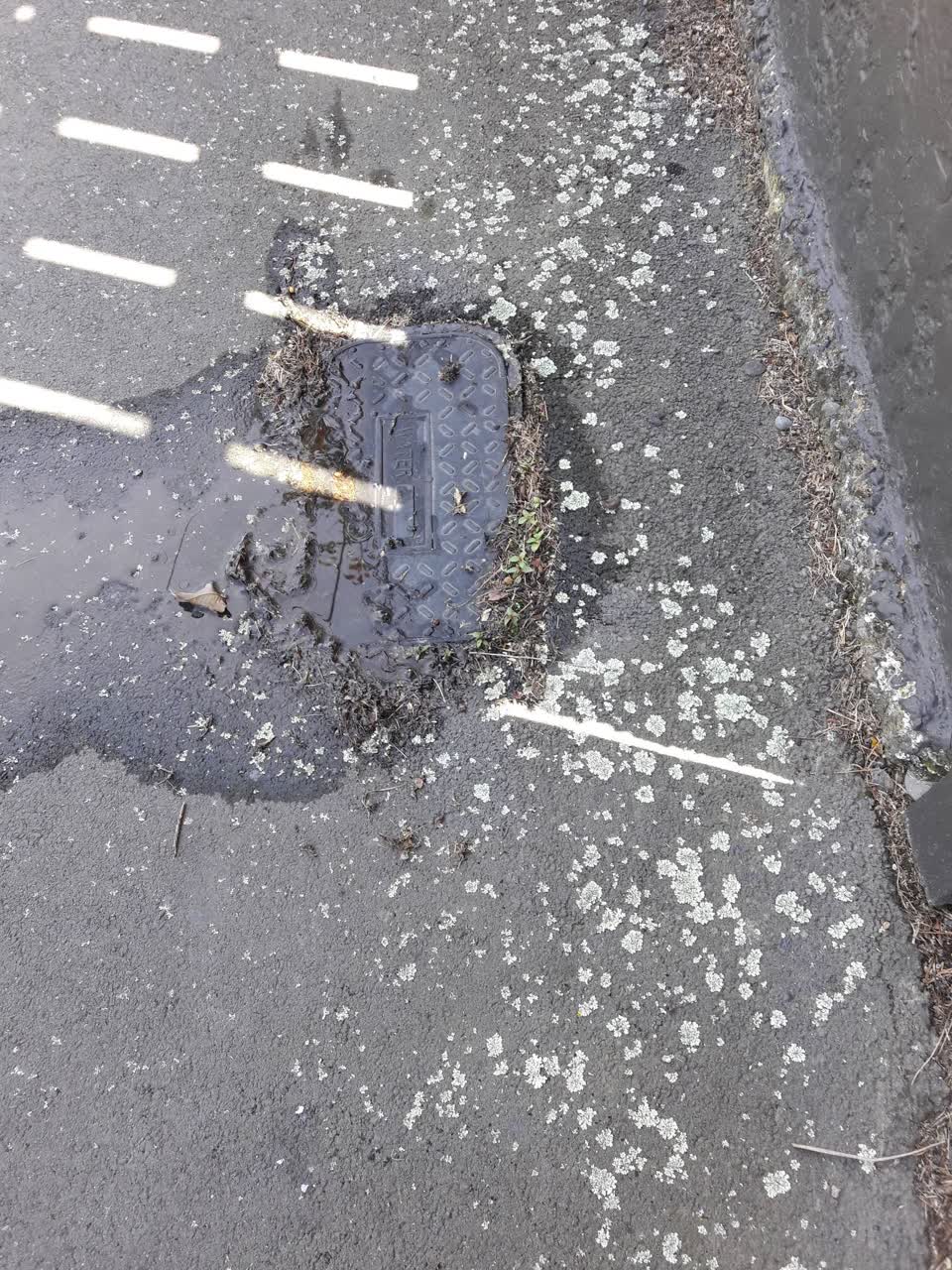 The photograph attached to this water supply report