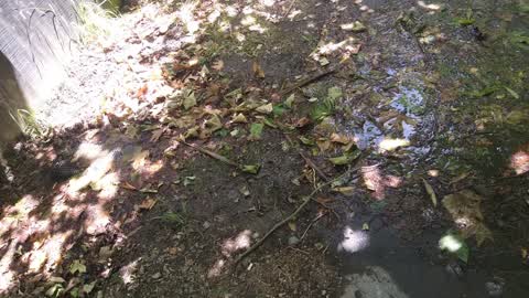 Water Supply — a report photo