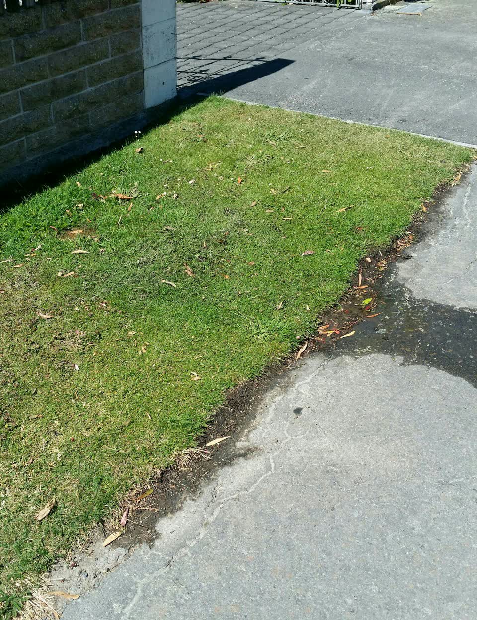 The photograph attached to this water supply report