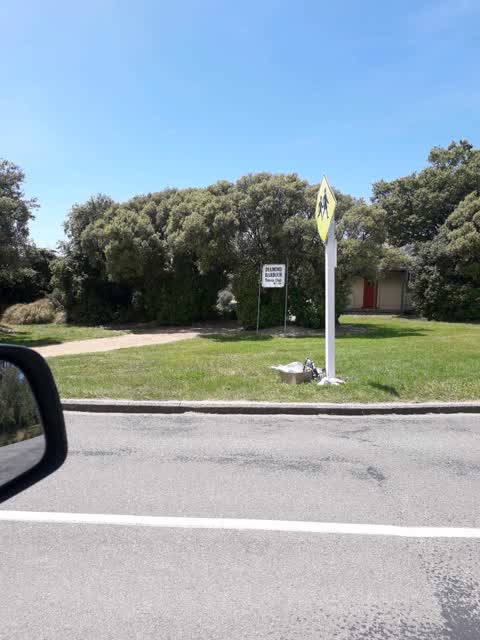 Rubbish/Recycling, a report photo