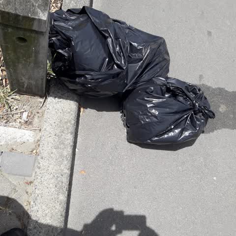 Parks, a report photo