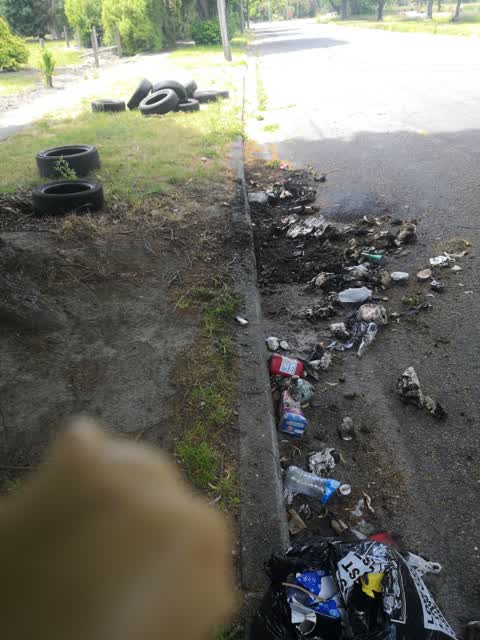 Rubbish/Recycling, a report photo