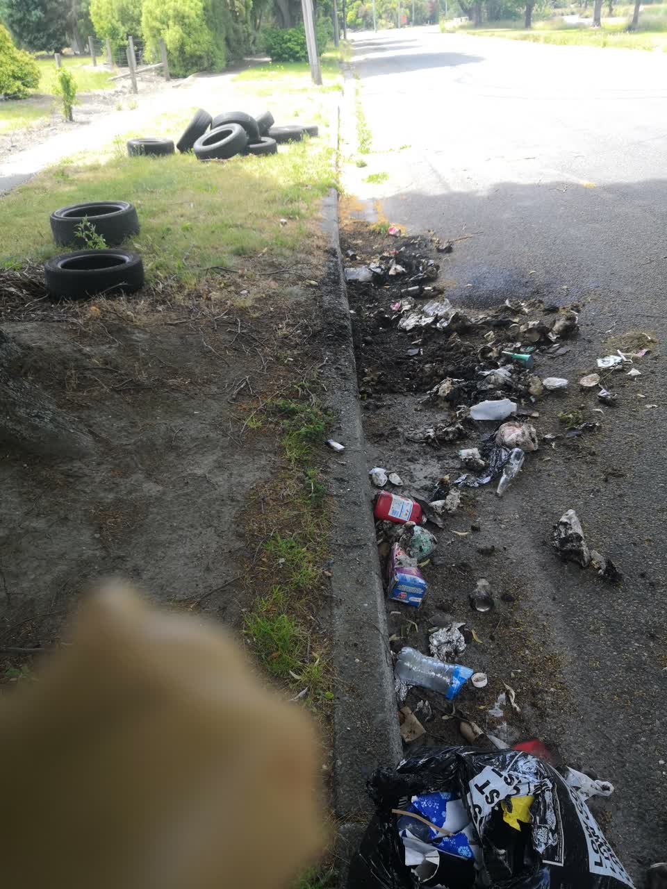The photograph attached to this rubbish/recycling report