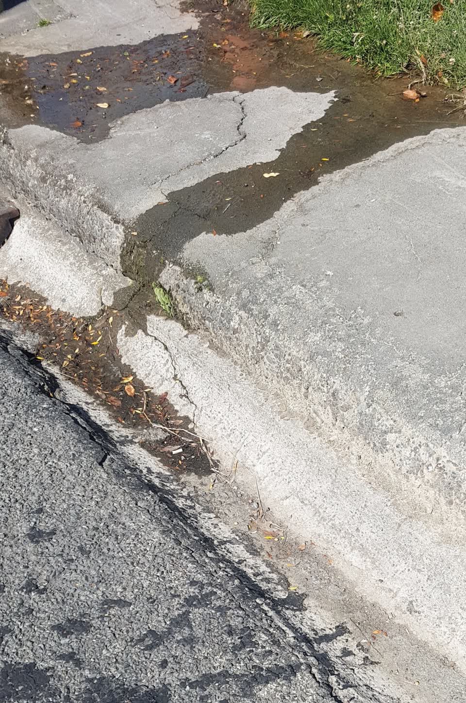 The photograph attached to this water supply report