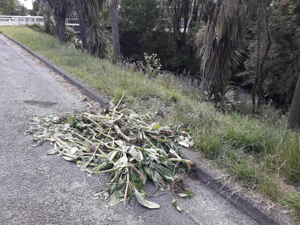The photograph attached to this parks report