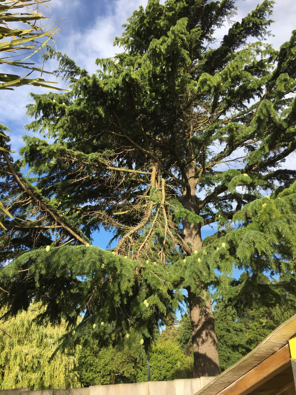 The photograph attached to this parks report