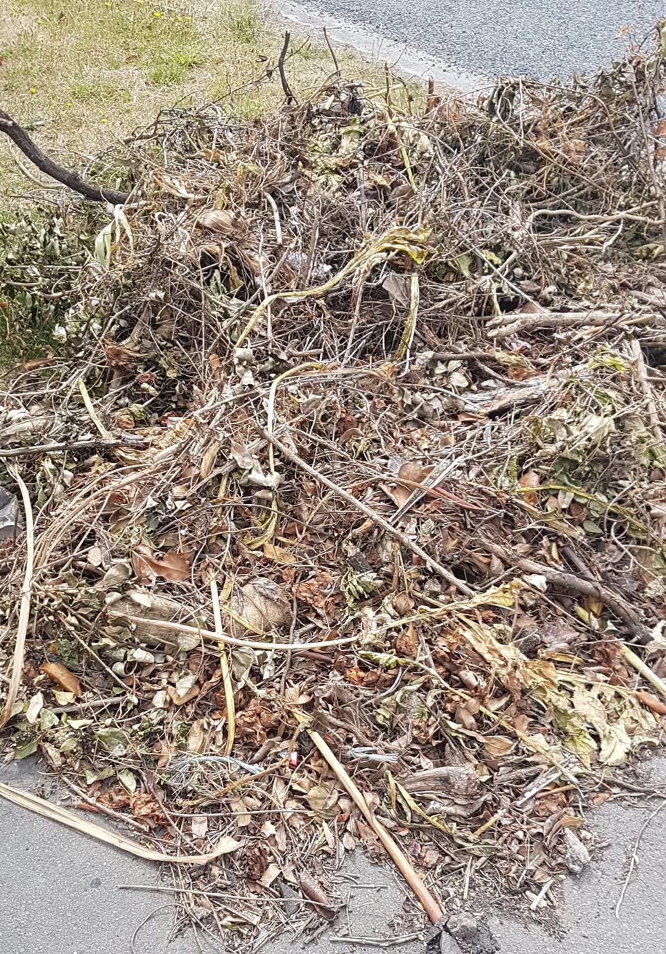 The photograph attached to this rubbish/recycling report