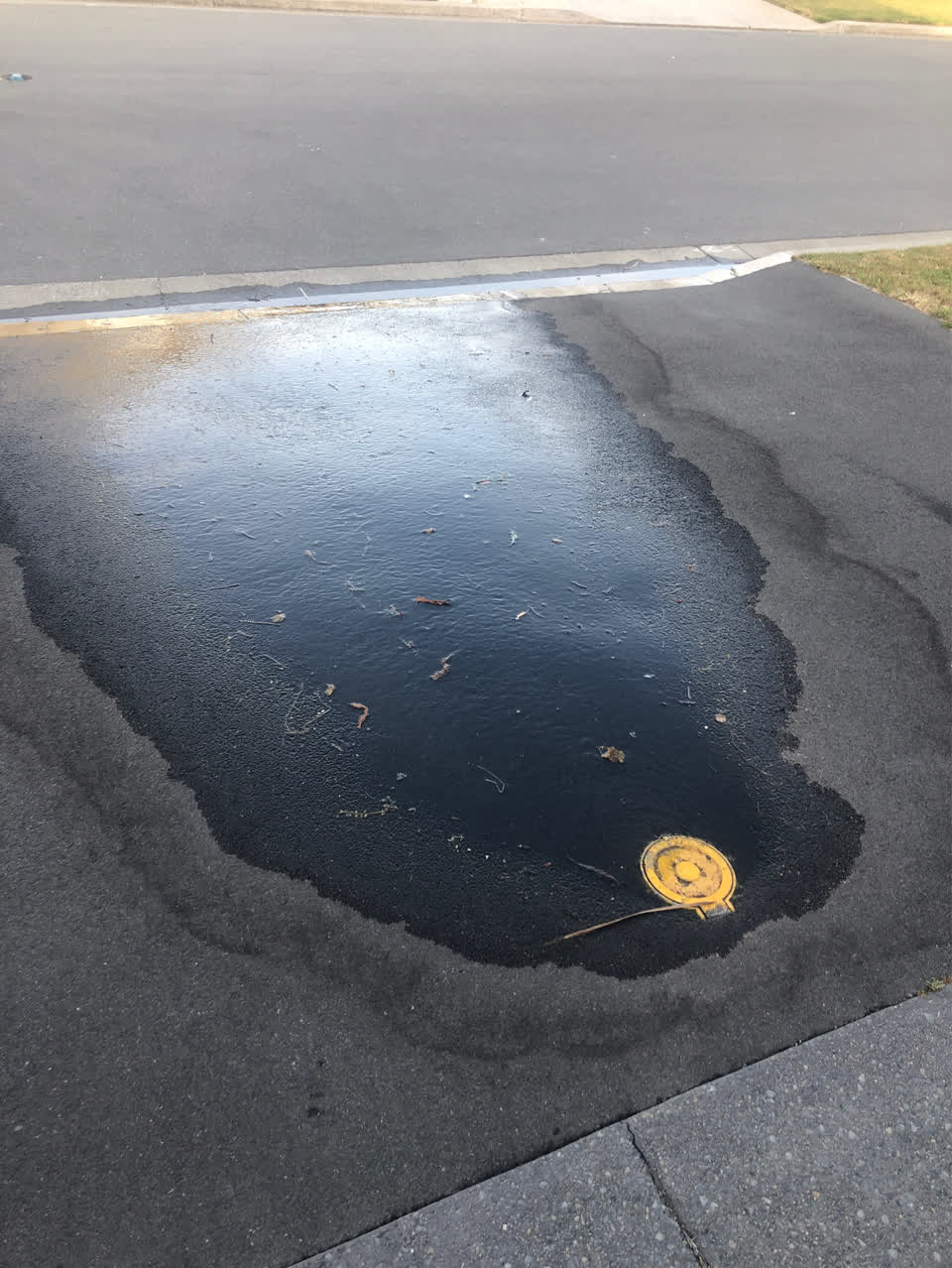 The photograph attached to this water supply report