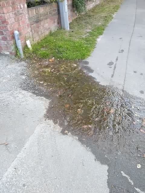 Water Supply, a report photo
