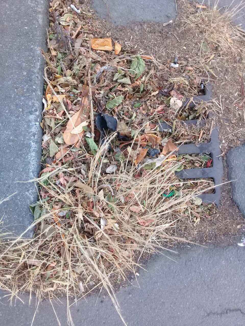 The photograph attached to this rubbish/recycling report