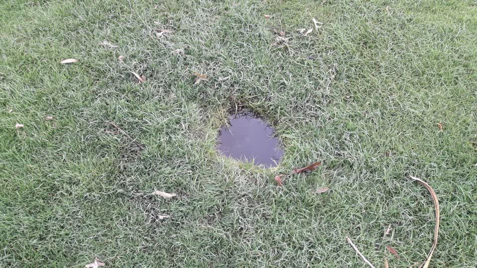 The photograph attached to this parks report