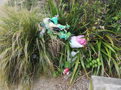 Parks — a report photo
