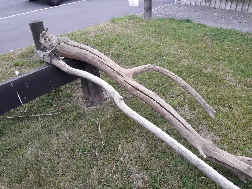 The photograph attached to this parks report