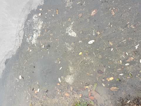 Water Supply, a report photo