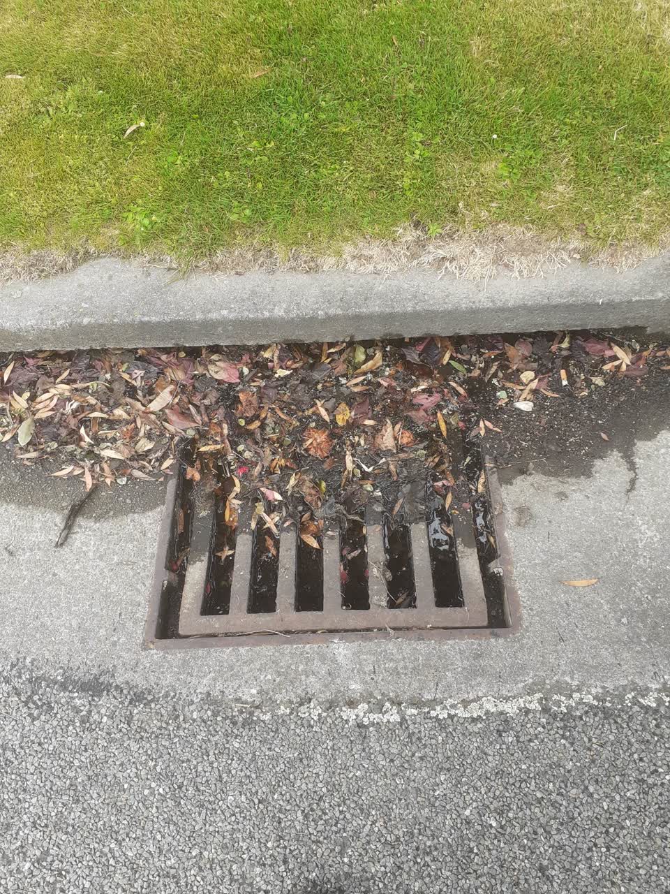 The photograph attached to this wastewater/stormwater report