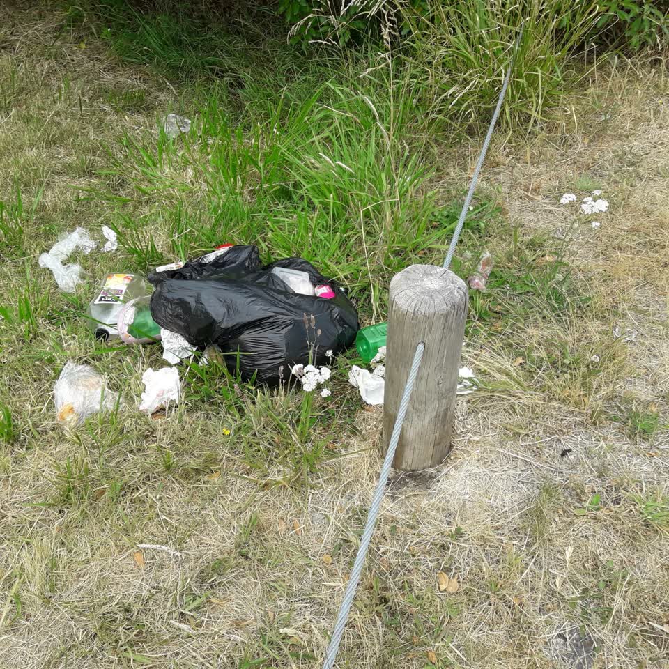 The photograph attached to this parks report