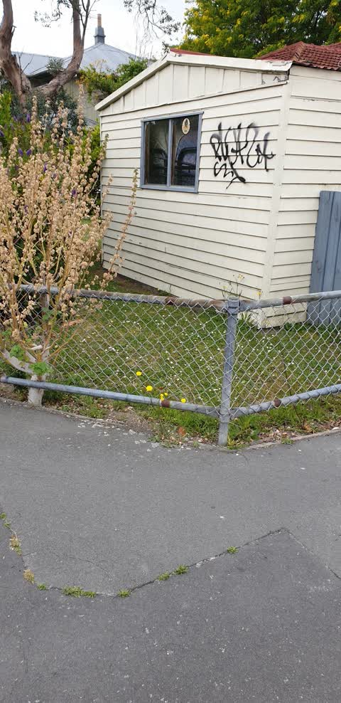 Graffiti, a report photo