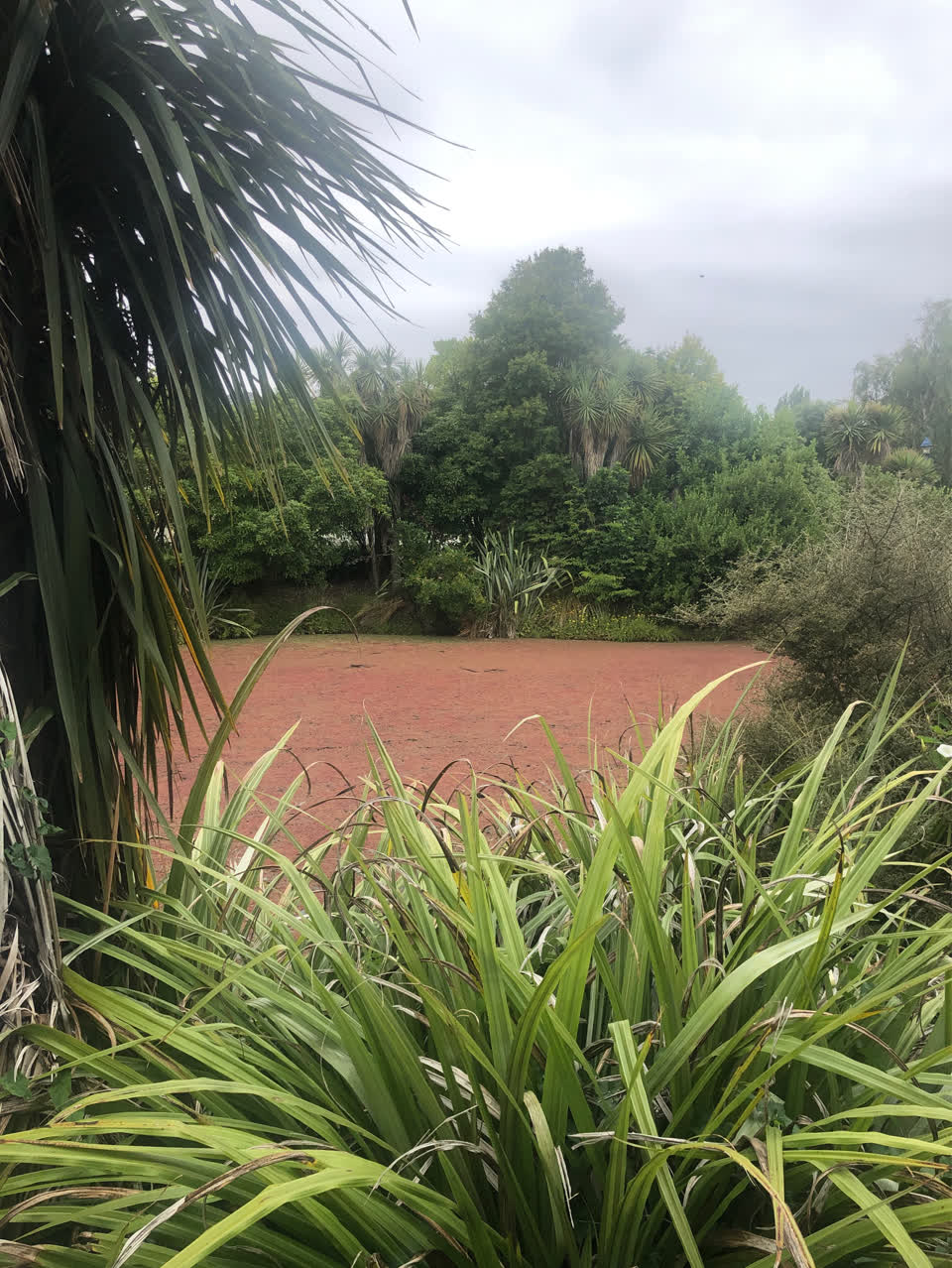 The photograph attached to this parks report