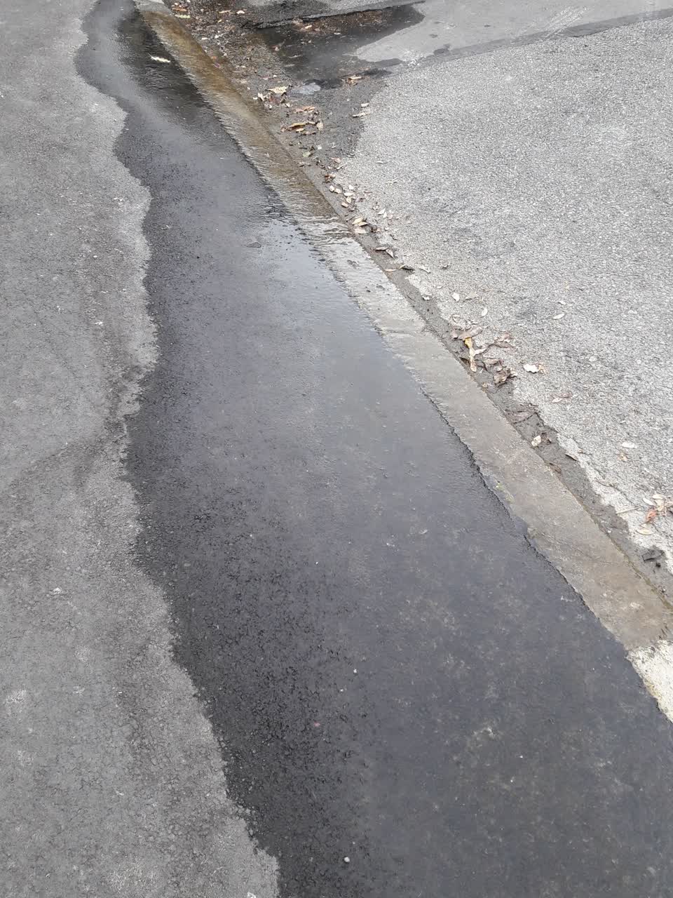 The photograph attached to this water supply report