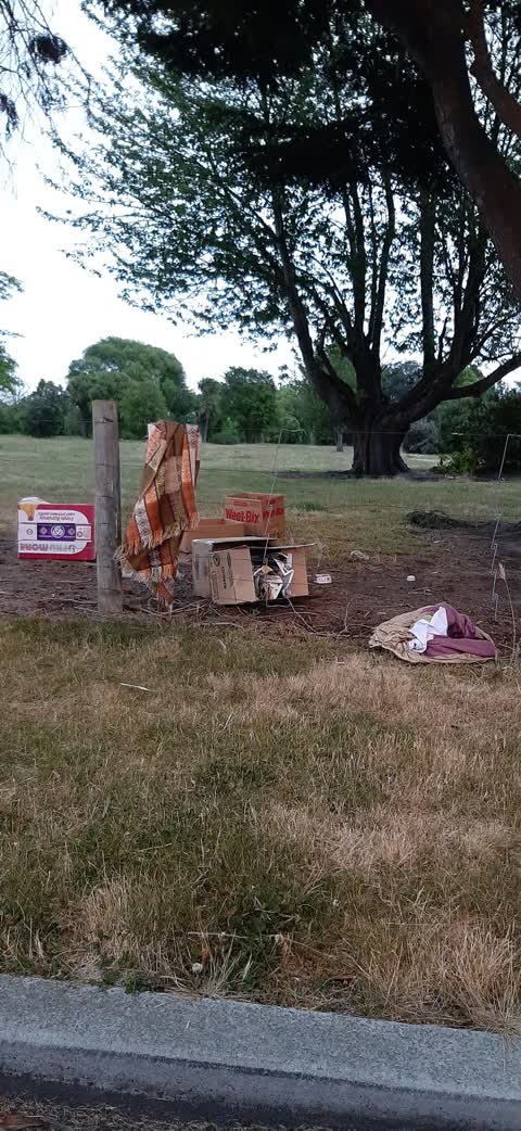 Rubbish/Recycling, a report photo