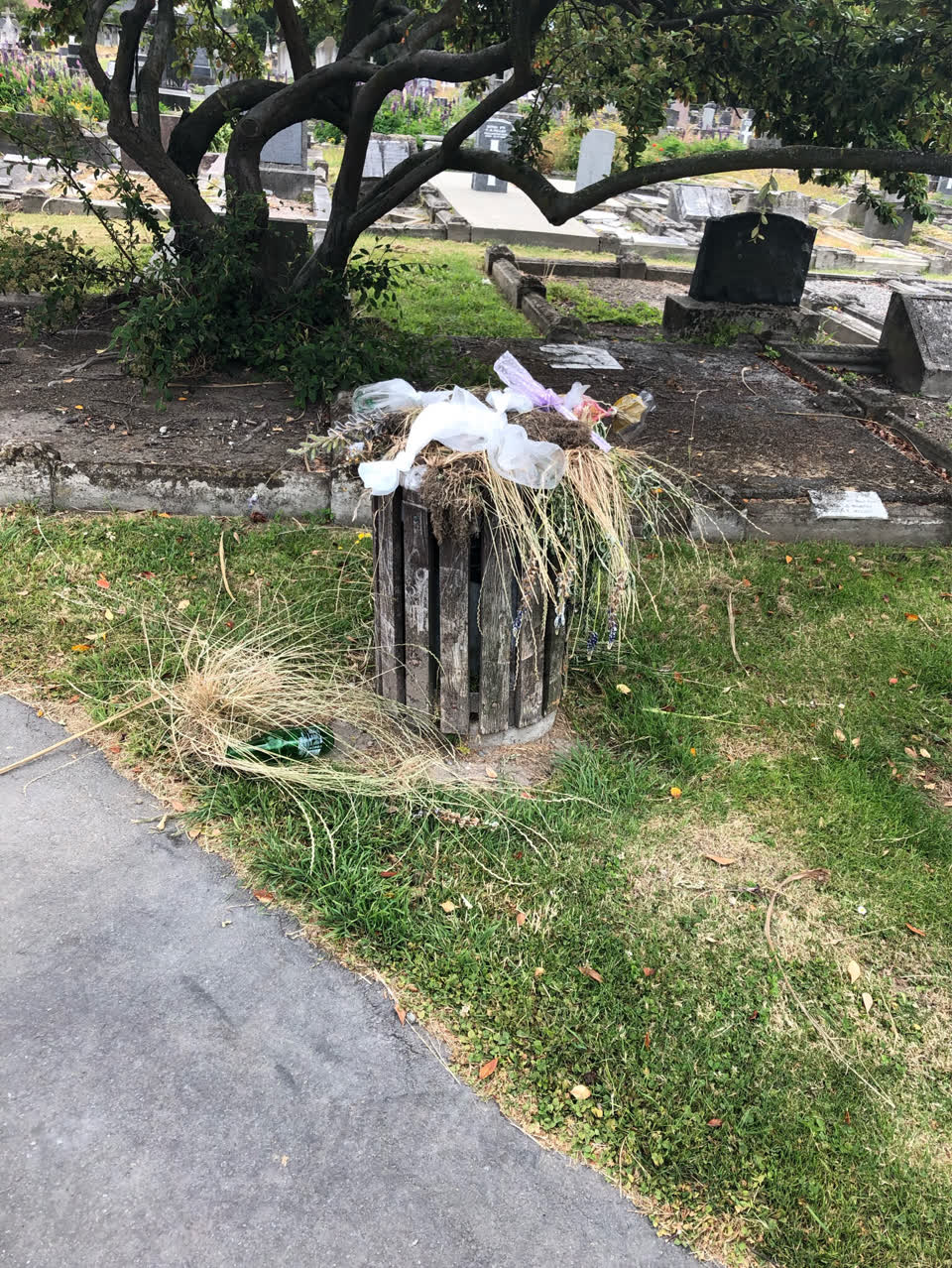 The photograph attached to this rubbish/recycling report