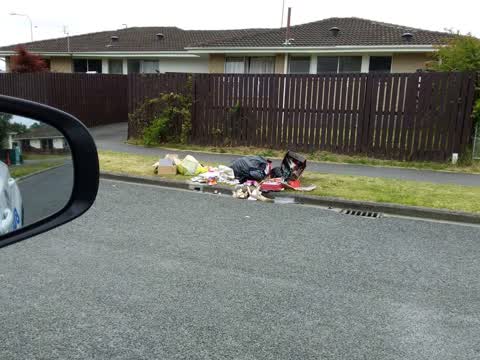 Rubbish/Recycling, a report photo