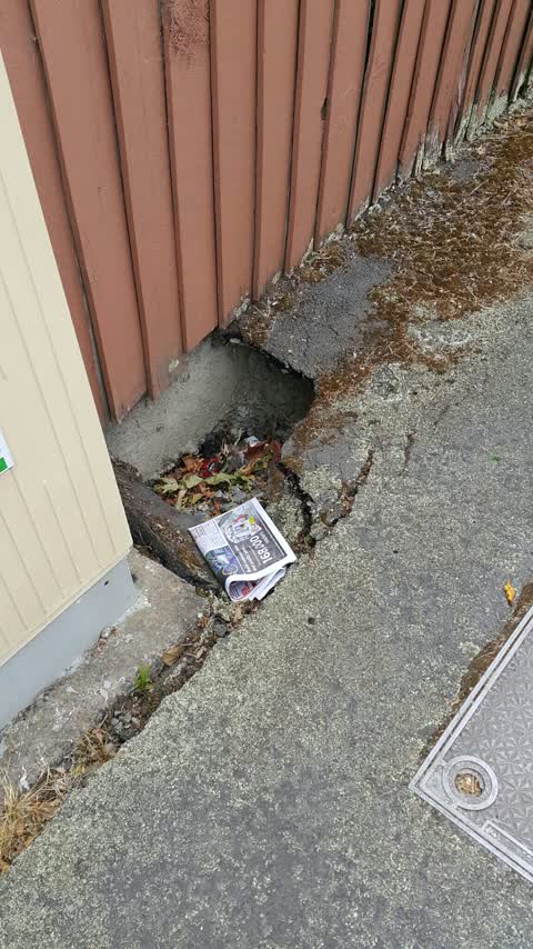 Roading/Streets, a report photo