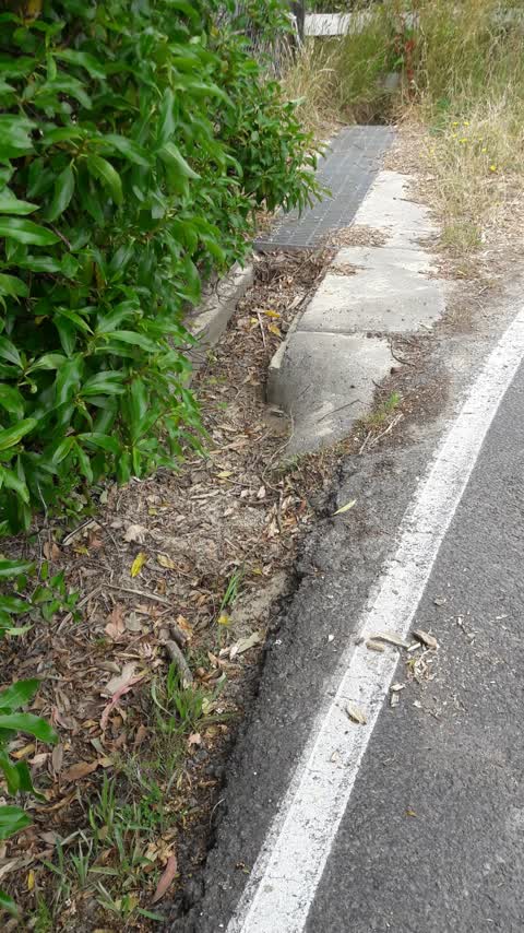 Wastewater/Stormwater, a report photo