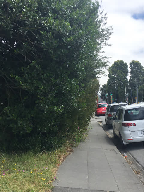 Roading/Streets, a report photo
