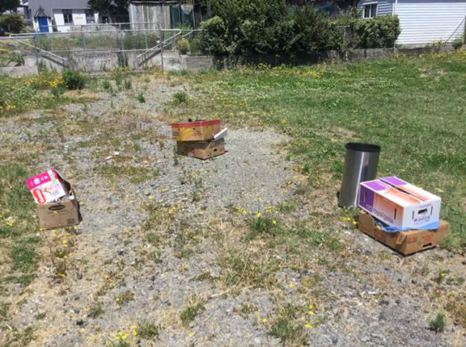 The photograph attached to this rubbish/recycling report