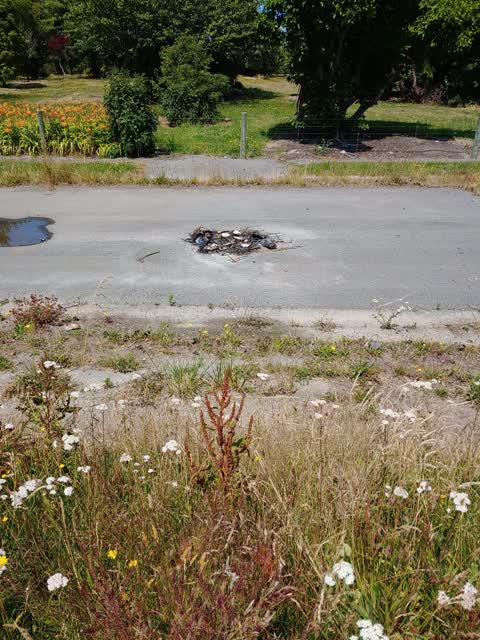 Rubbish/Recycling, a report photo