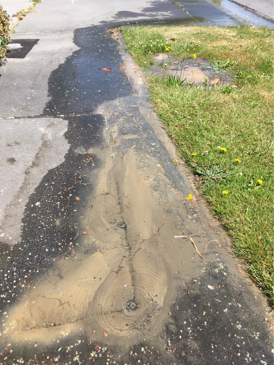 The photograph attached to this water supply report