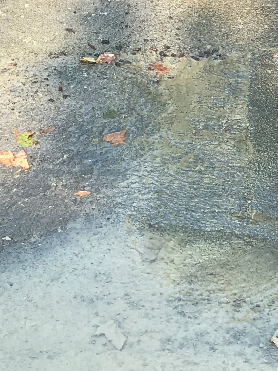 The photograph attached to this water supply report