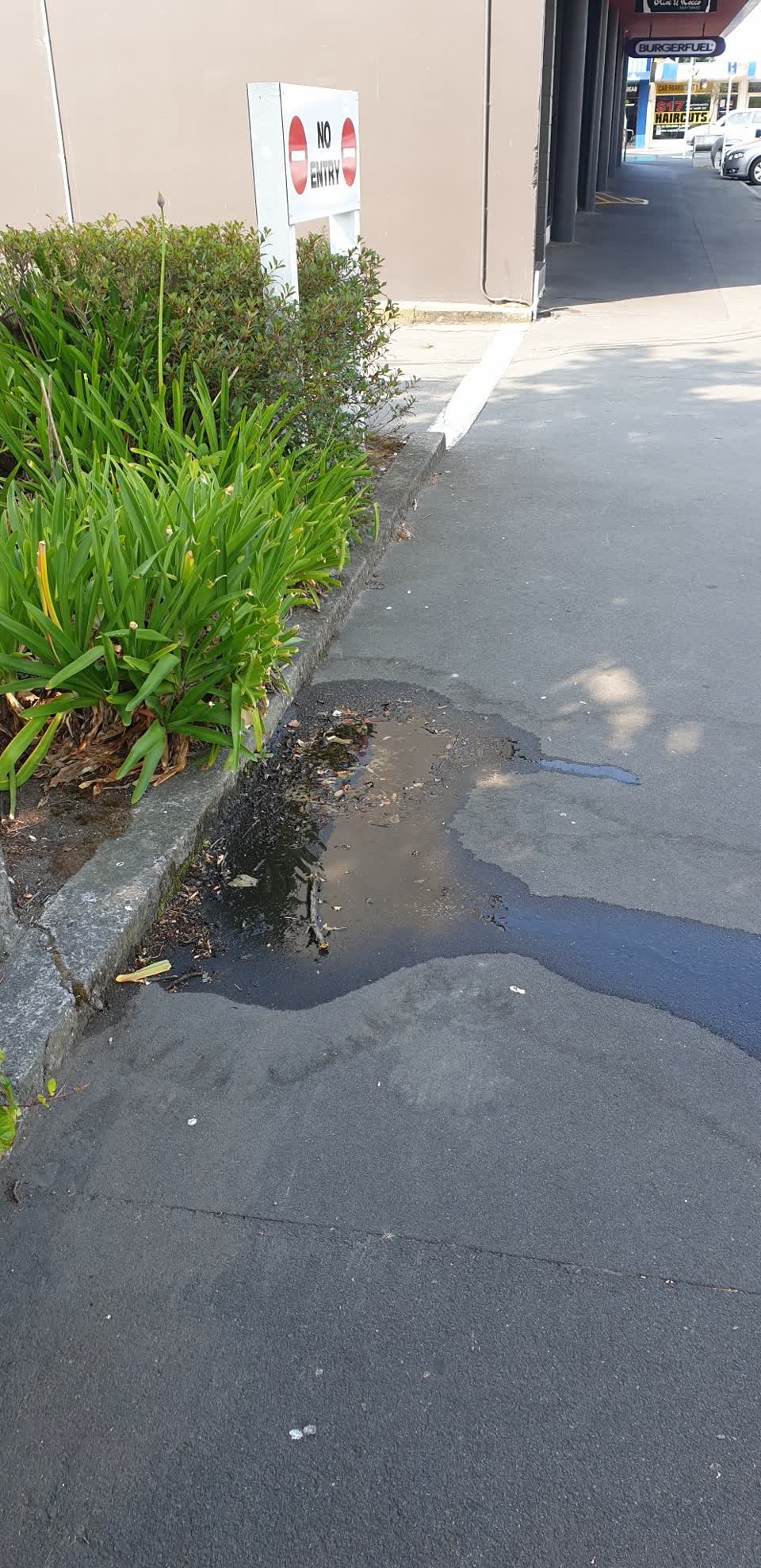The photograph attached to this water supply report