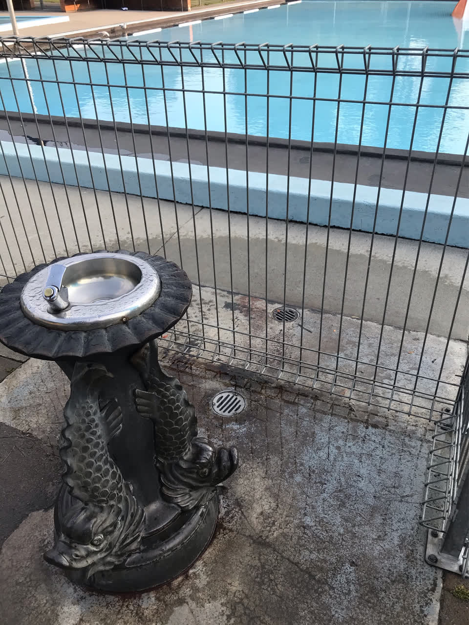 The photograph attached to this parks report