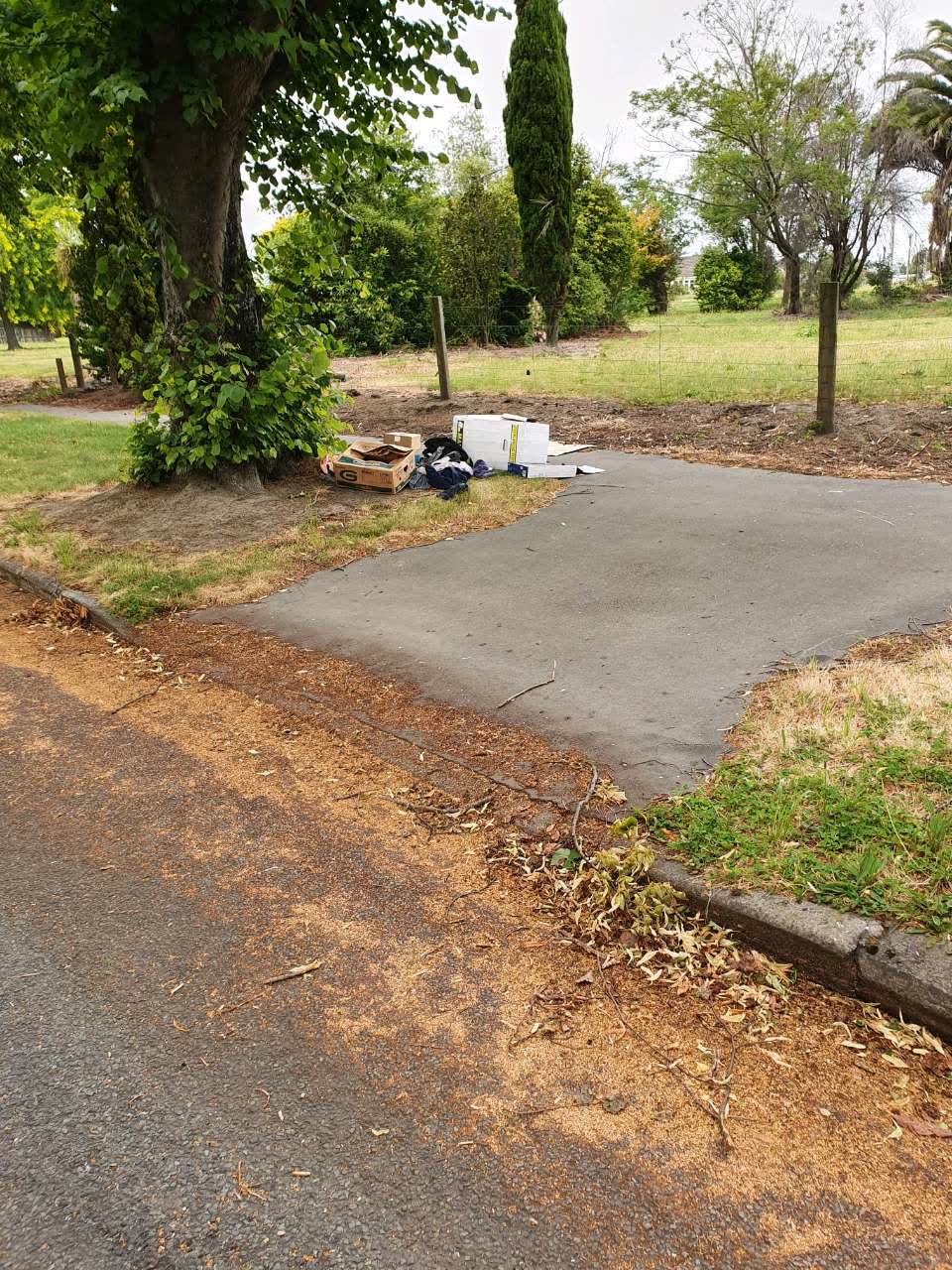 The photograph attached to this rubbish/recycling report