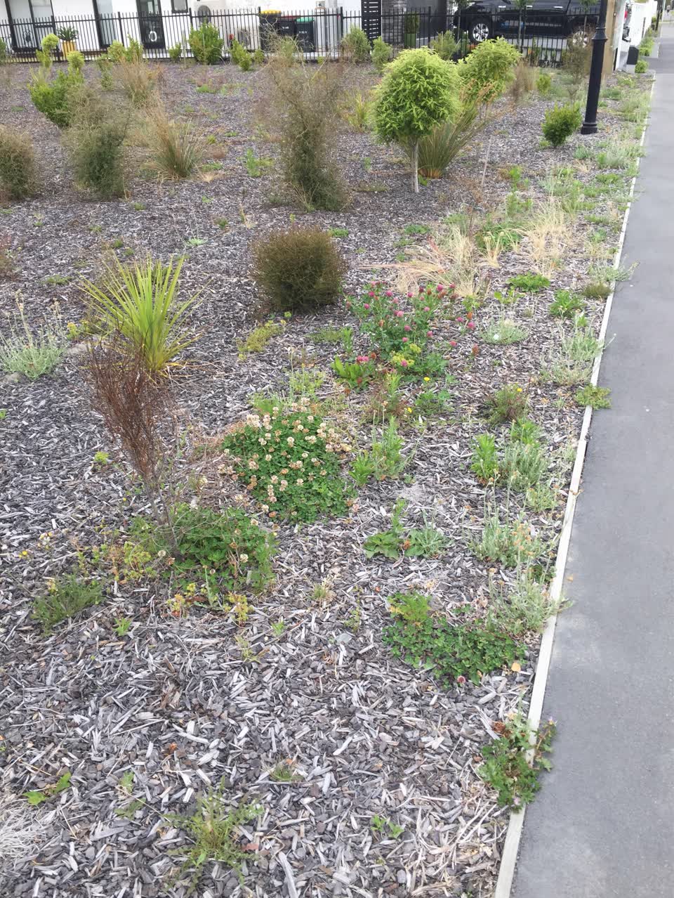 The photograph attached to this parks report