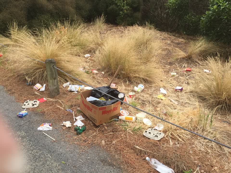 The photograph attached to this rubbish/recycling report